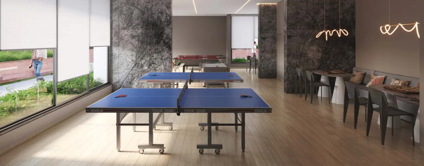 Vision Vanessa Ravet Indoor Games Image