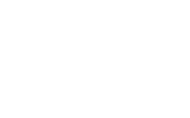 Vision Vanessa Ravet Footer Shape Image